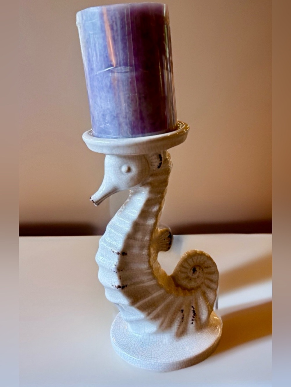 Sonoma Coastal Seahorse Candle Holder w Driftwood Waters Candle